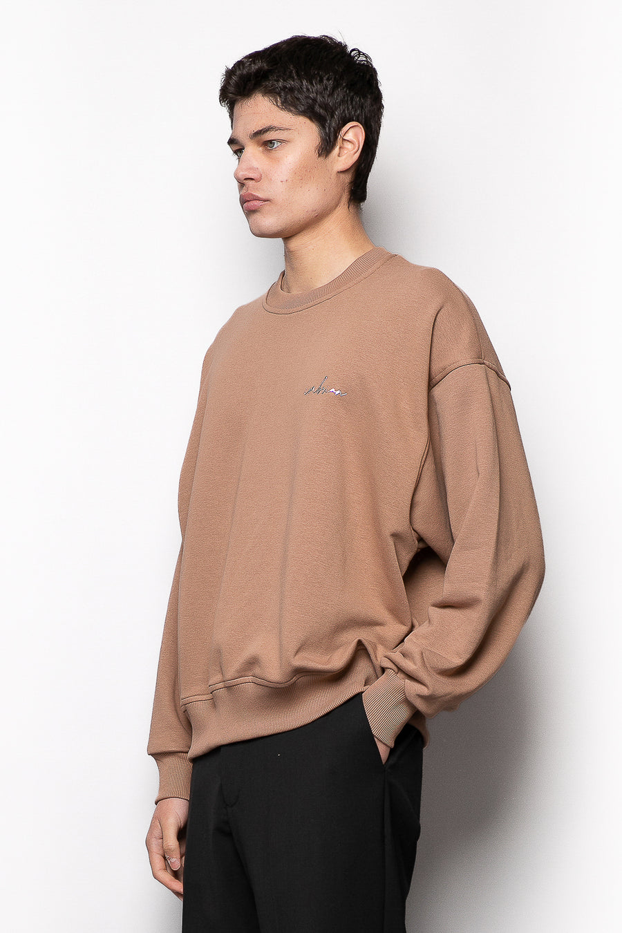 Oversized crew-neck cotton sweatshirt with iron-on logo - Beige